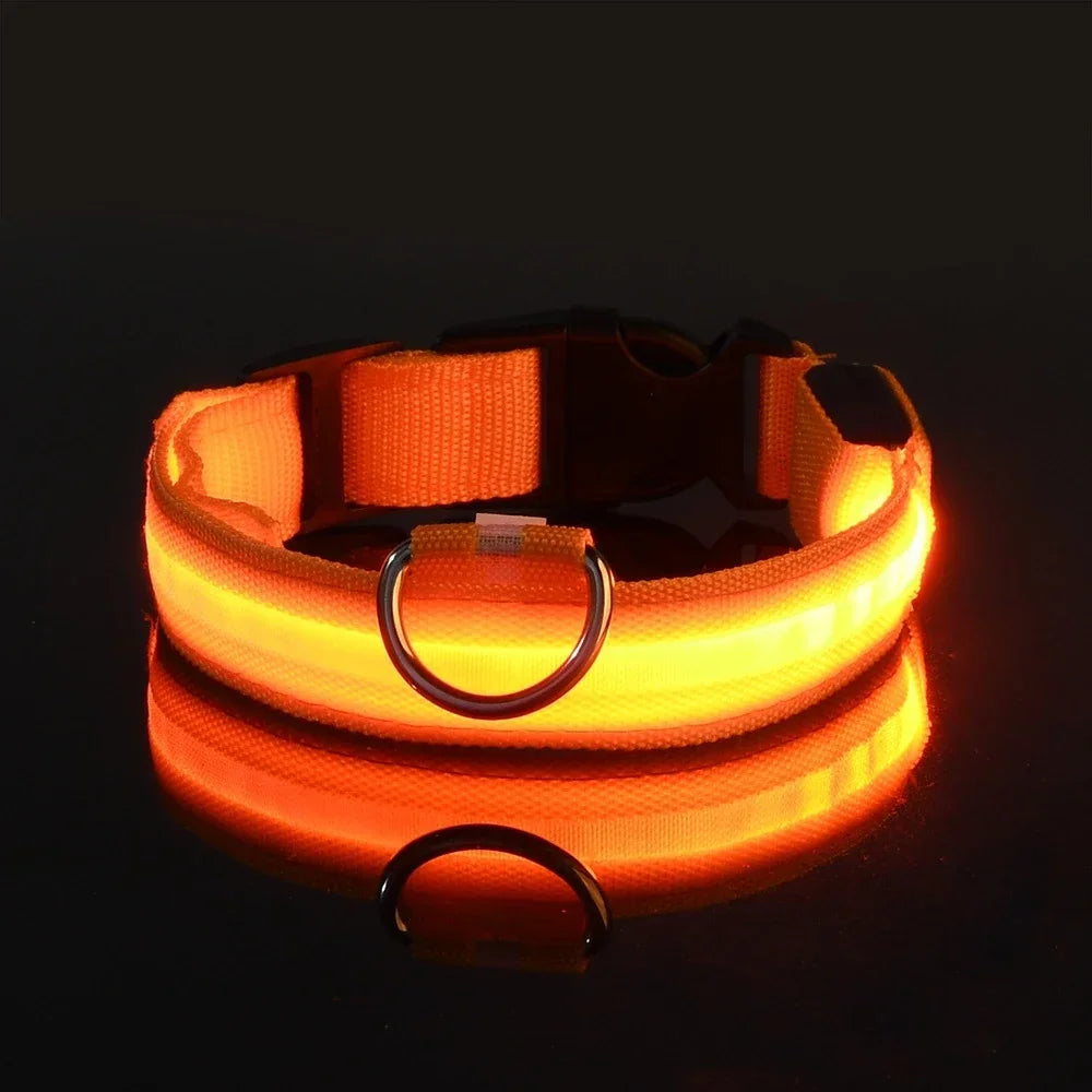 LED Hundhalsband i Nylon – Lysande & Reflekterande för Säkra Kvällspromenader