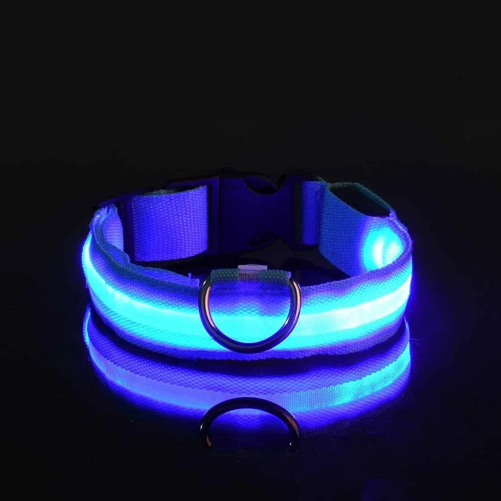 LED Hundhalsband i Nylon – Lysande & Reflekterande för Säkra Kvällspromenader