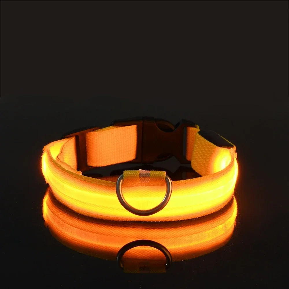 LED Hundhalsband i Nylon – Lysande & Reflekterande för Säkra Kvällspromenader