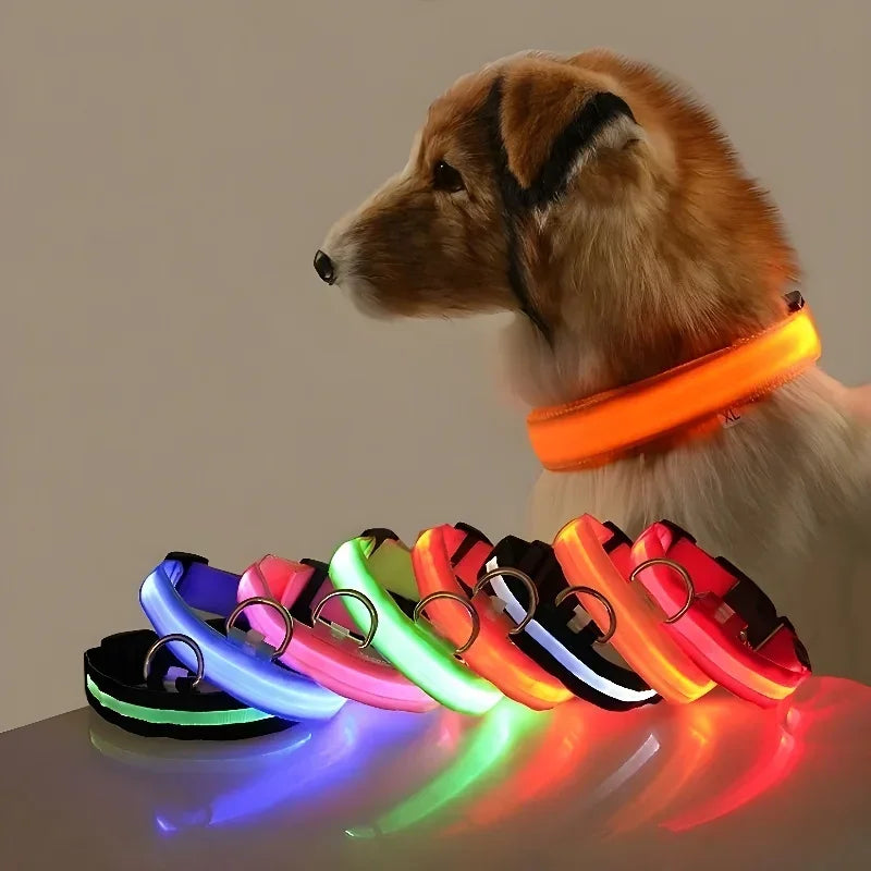 LED Hundhalsband i Nylon – Lysande & Reflekterande för Säkra Kvällspromenader