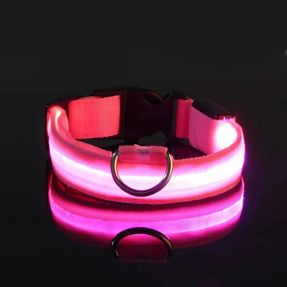LED Hundhalsband i Nylon – Lysande & Reflekterande för Säkra Kvällspromenader